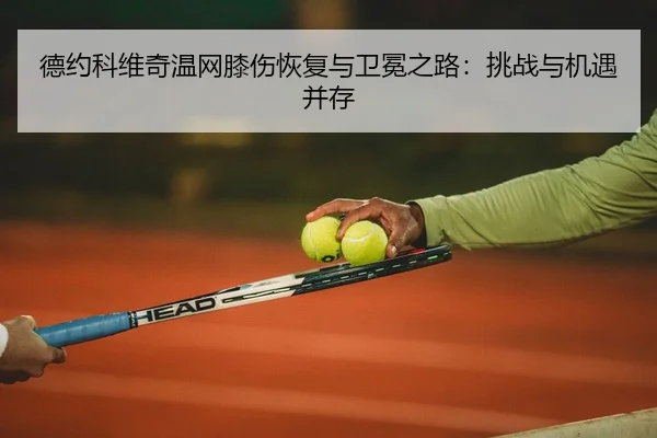 de-yue-ke-wei-qi-wen-wang-xi-shang-hui-fu-yu-wei-mian-zhi-lu-tiao-zhan-yu-ji-yu-bing-cun-2-311.jpg
