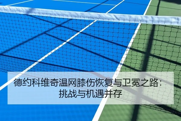 德约科维奇温网膝伤恢复与卫冕之路：挑战与机遇并存